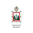 commune-de-marrakech-300x300
